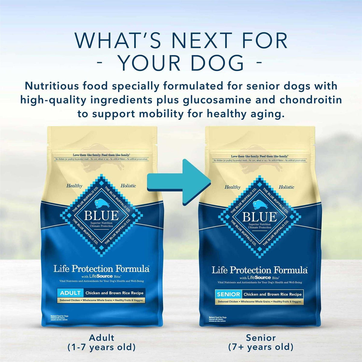Adult Chicken & Brown Rice Dry Dog Food Y416220