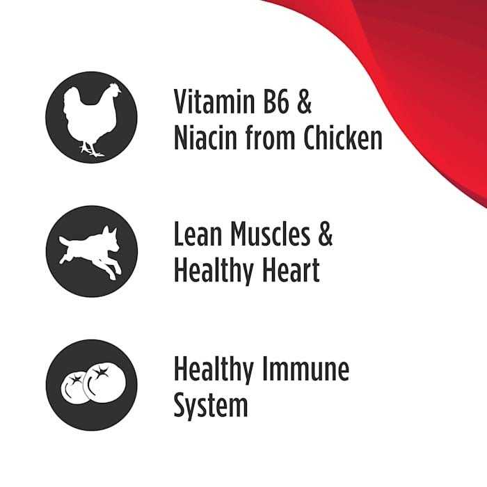 Dry Dog Food Q3184