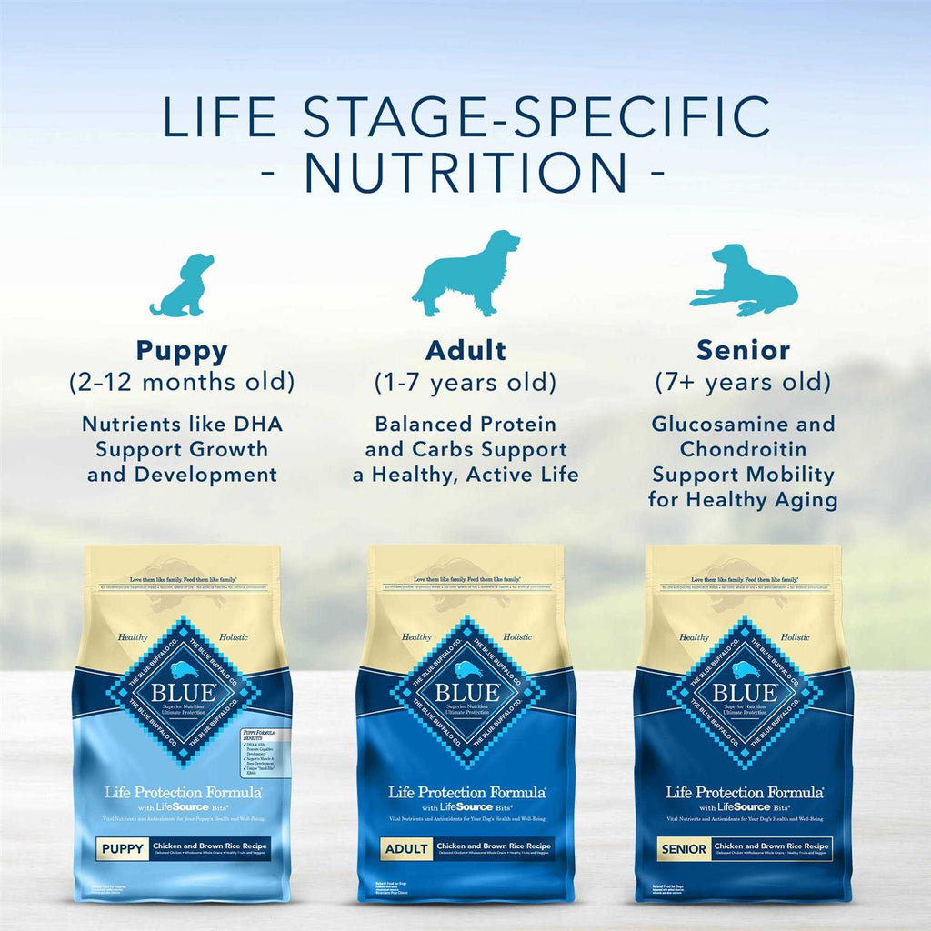 Adult Chicken & Brown Rice Dry Dog Food Y416220