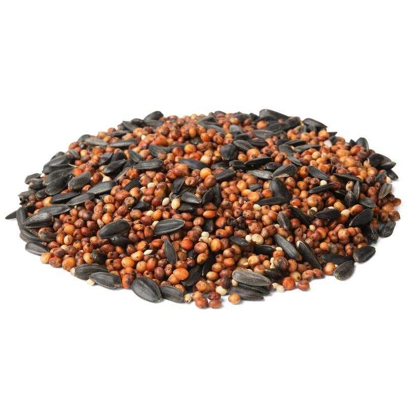 Wild Bird Food D77084
