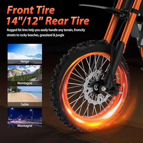 14"/12" Fat Tire 2000W Electric Dirt Bike with 48V 21AH Battery H153