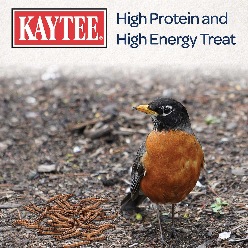 Mealworms Bird Food W141