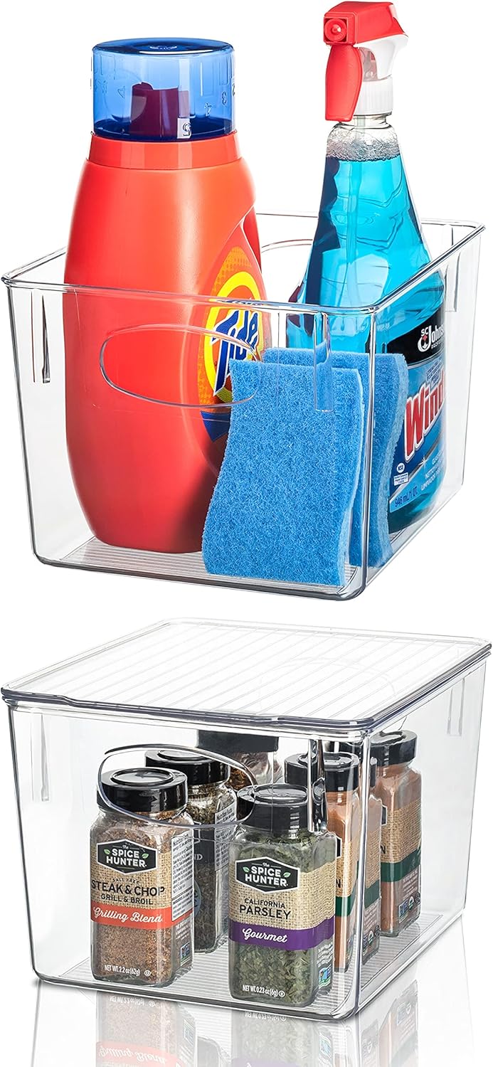 Clear Stackable Plastic Storage Bins with Lid, 4 Pack of 2 N98660