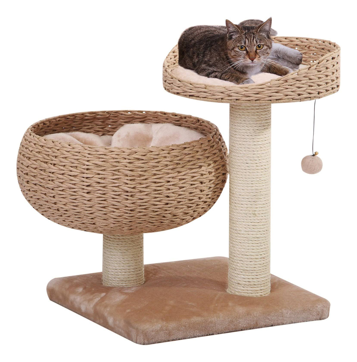 Cat Perch S600