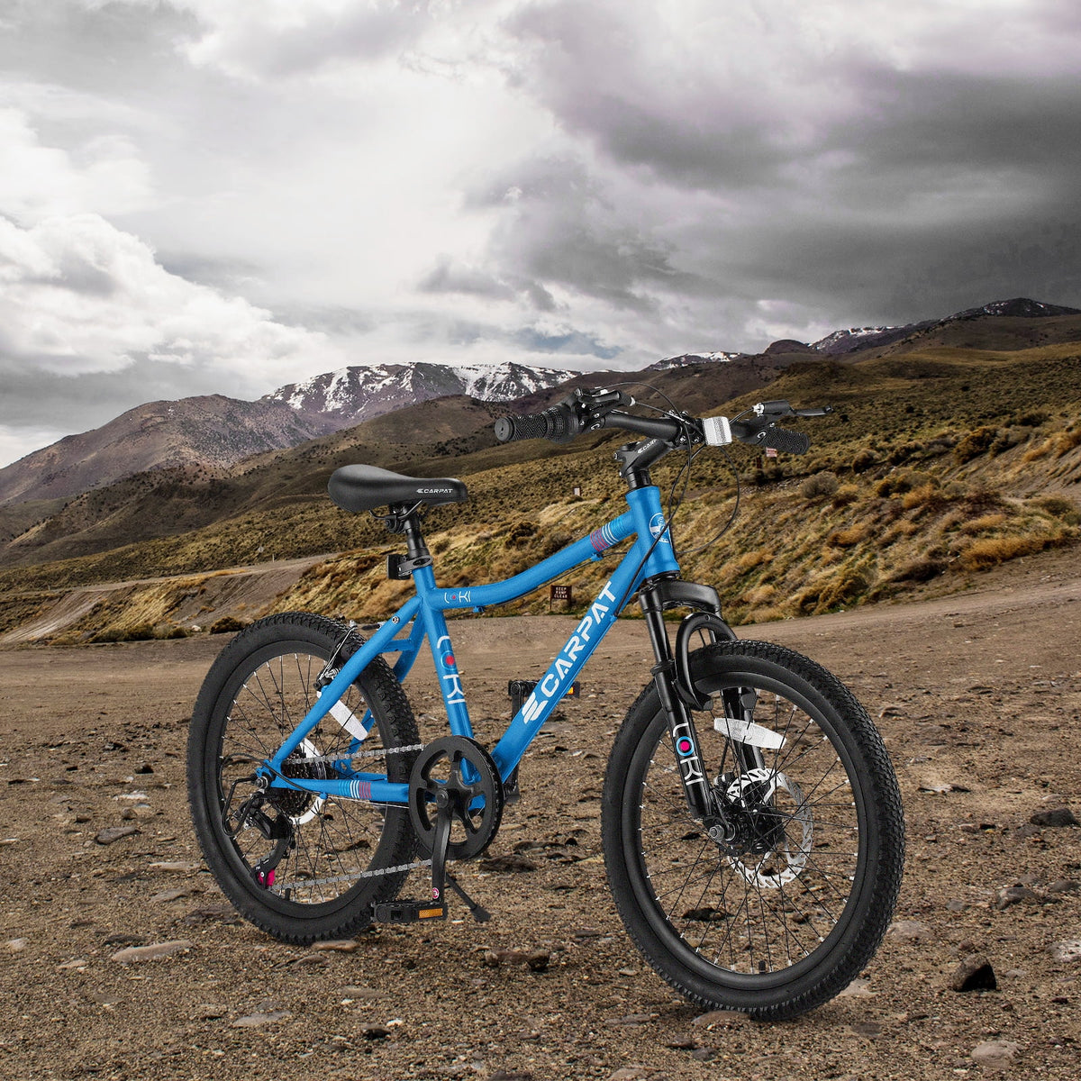 20 Inch Kids Mountain Bike I3794