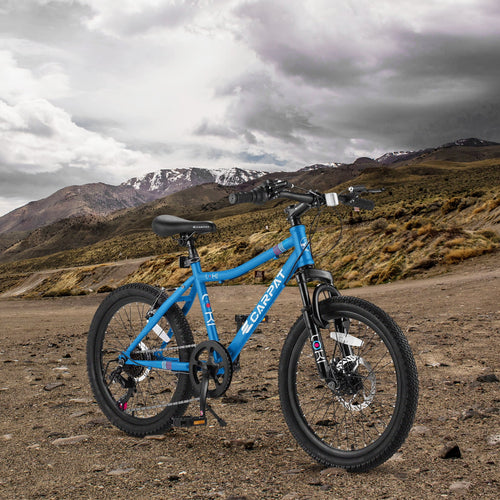 20 Inch Kids Mountain Bike I3794
