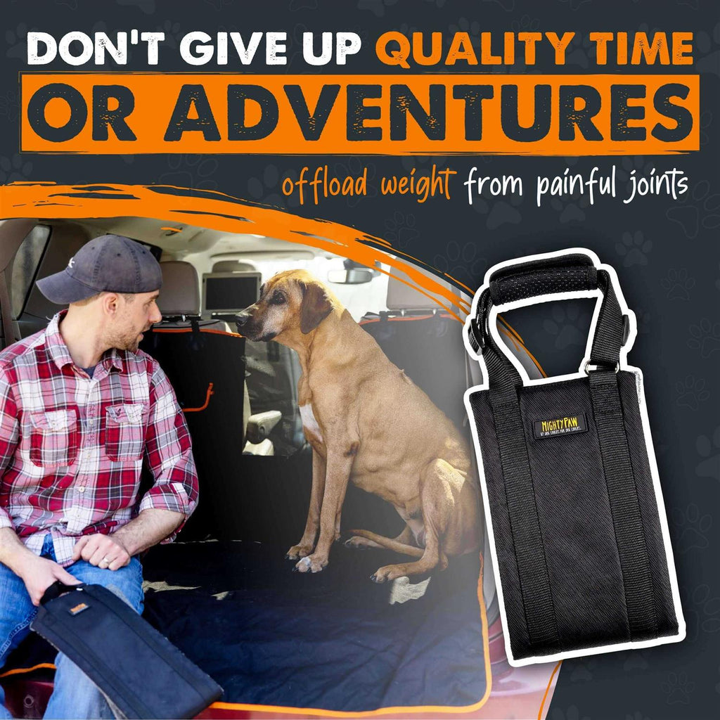 Dog Lift Harness G360