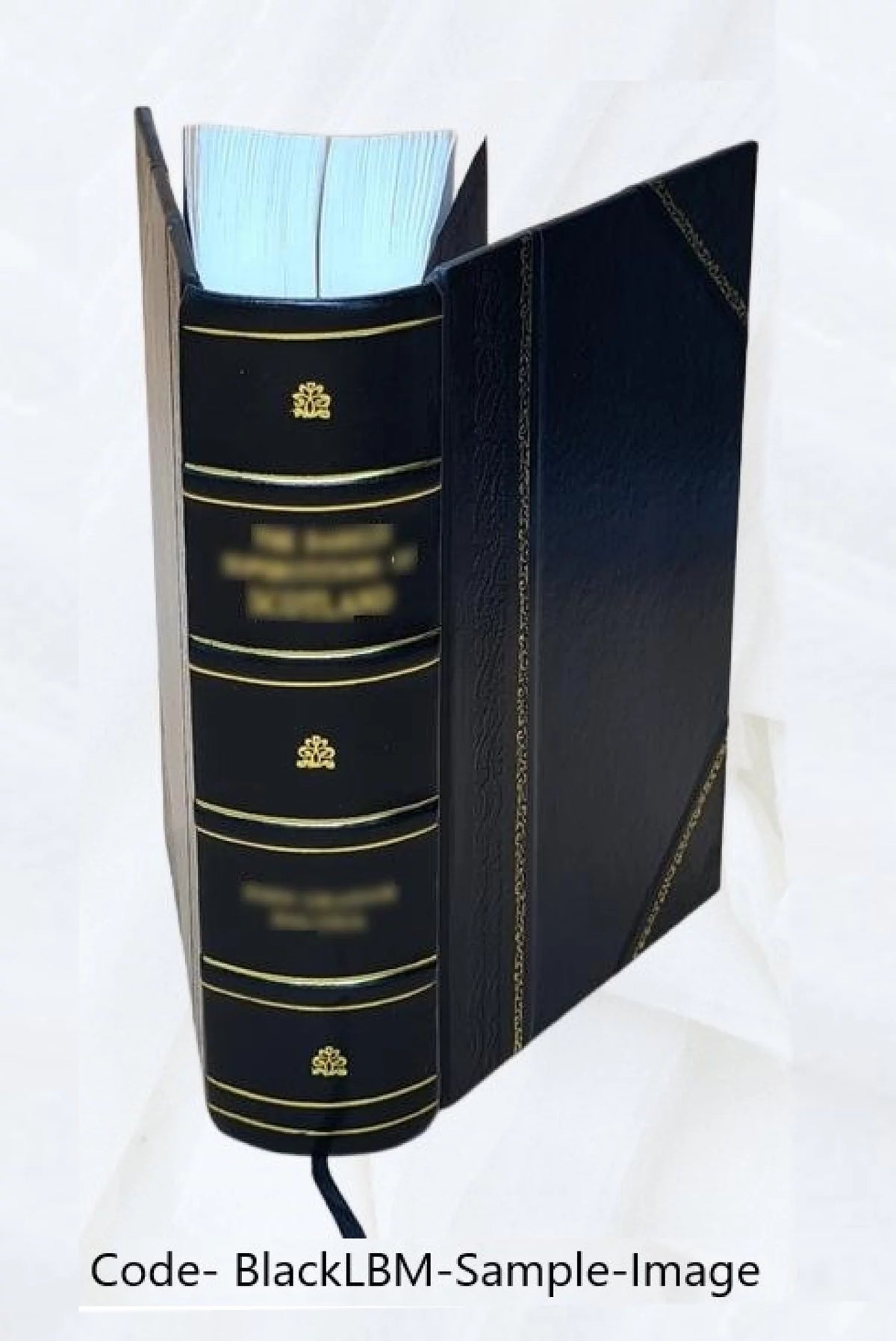 Leather Bound Electronics E595791