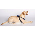Pink Travel Safe Harness P422643