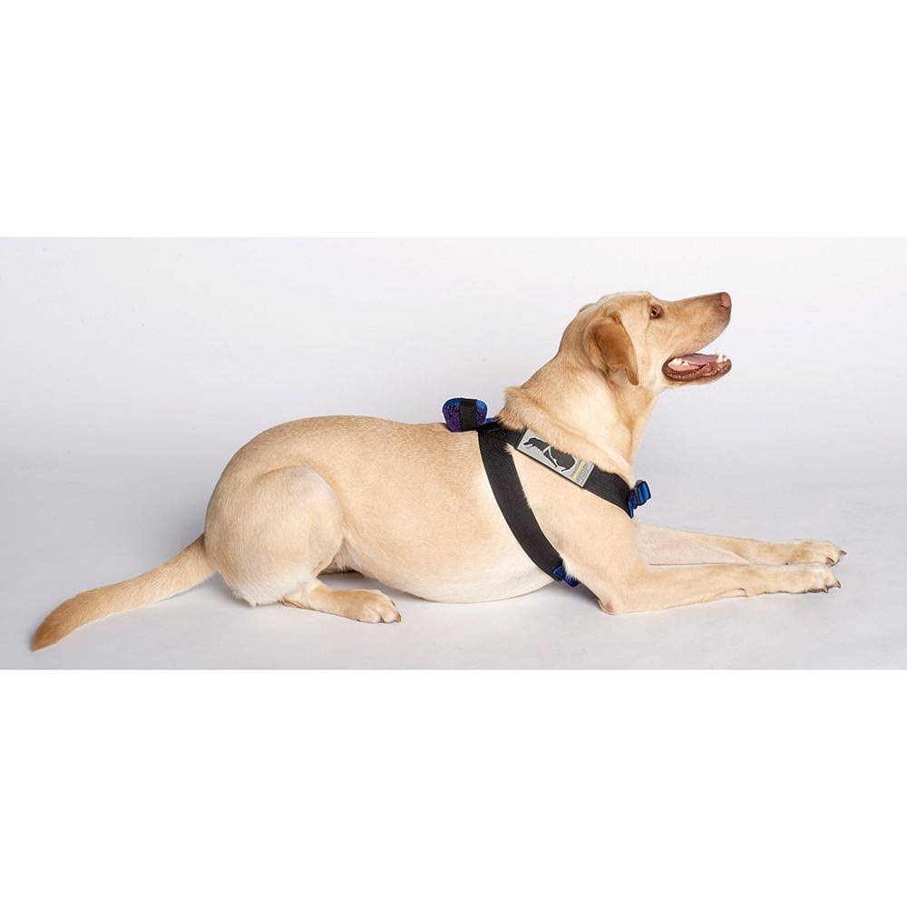 Pink Travel Safe Harness P422643