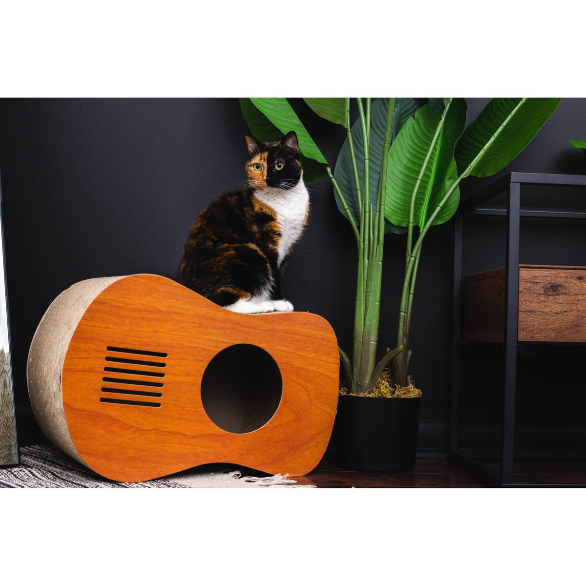 Cat Scratcher Wood Q3224