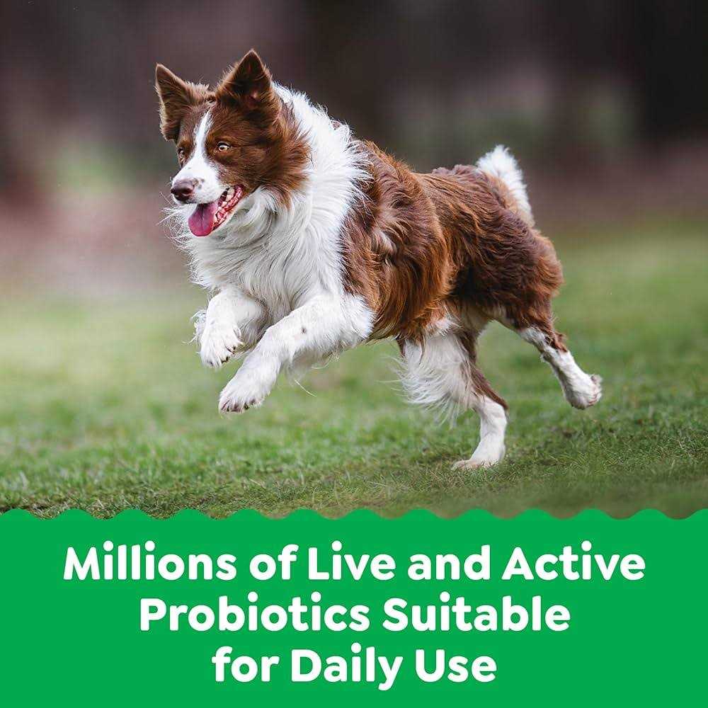 Probiotics Digestive Health Supplements for Dogs Chicken Flavor A829506
