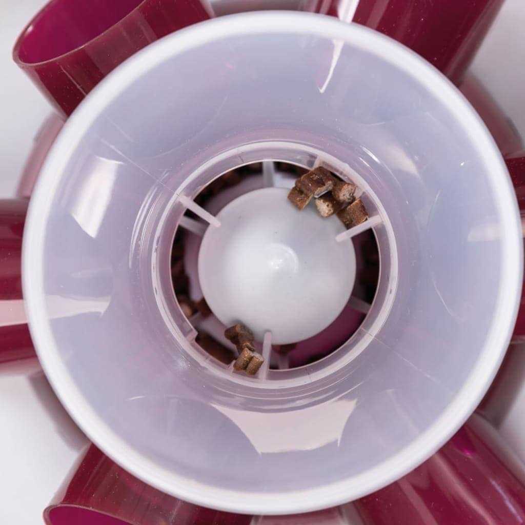 Cat Feeder Z220931