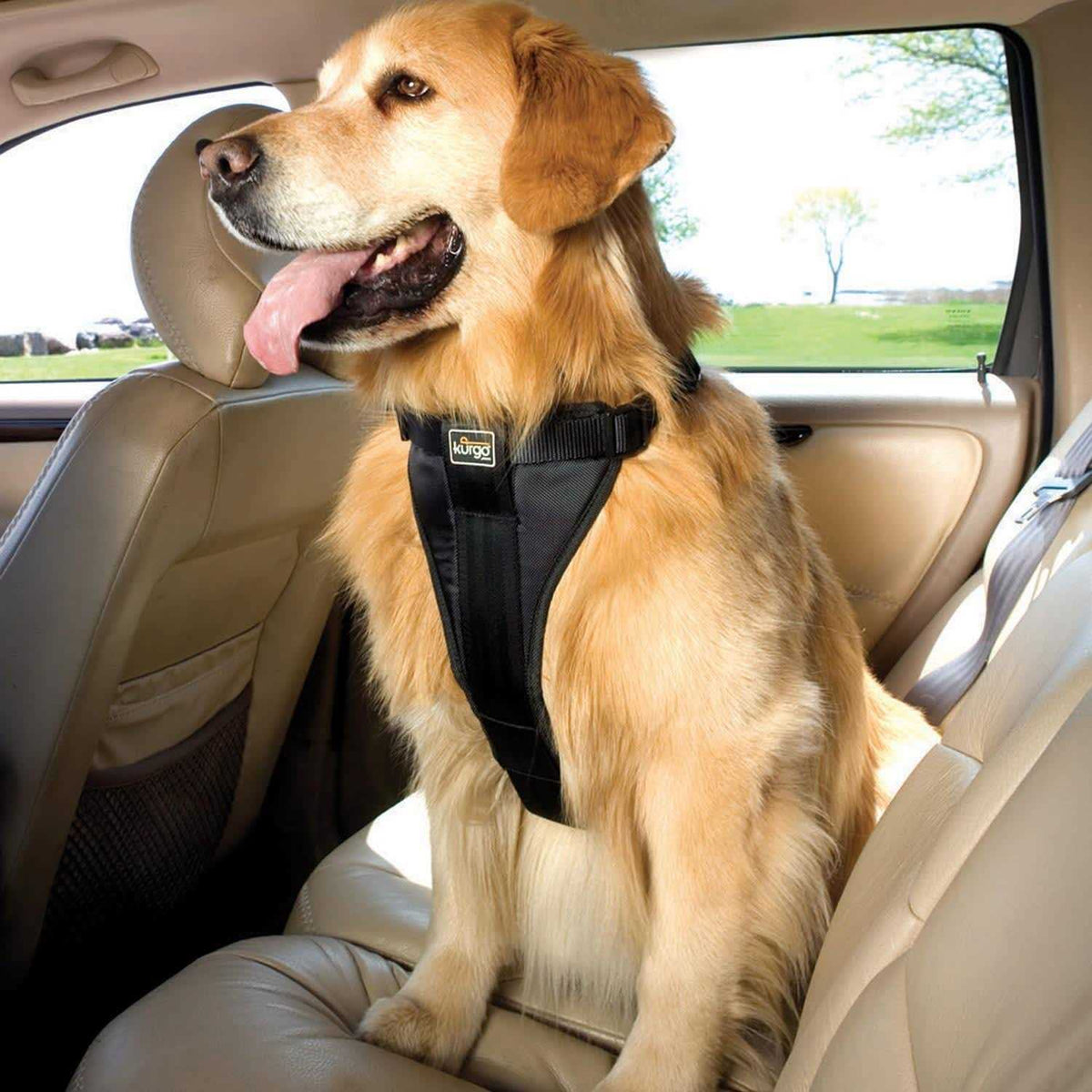 Tru Fit Smart Harness M946155