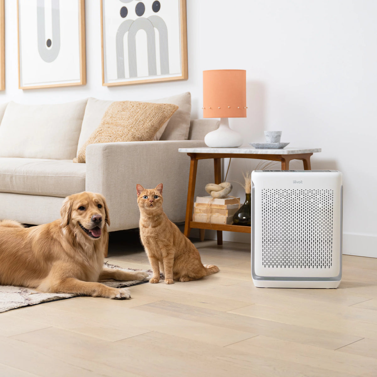 Air Purifier W73401