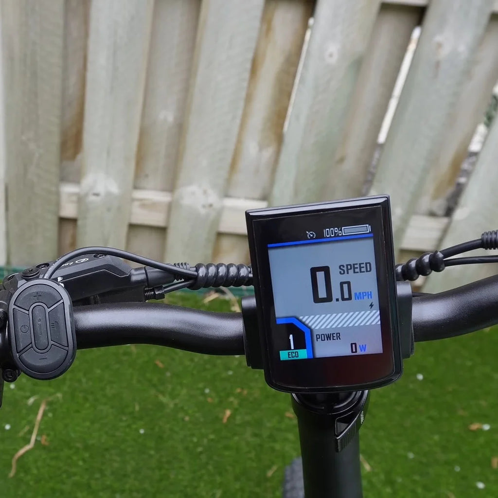 750W 20" Fat Tire 8-Speed Folding Electric Bike Y981
