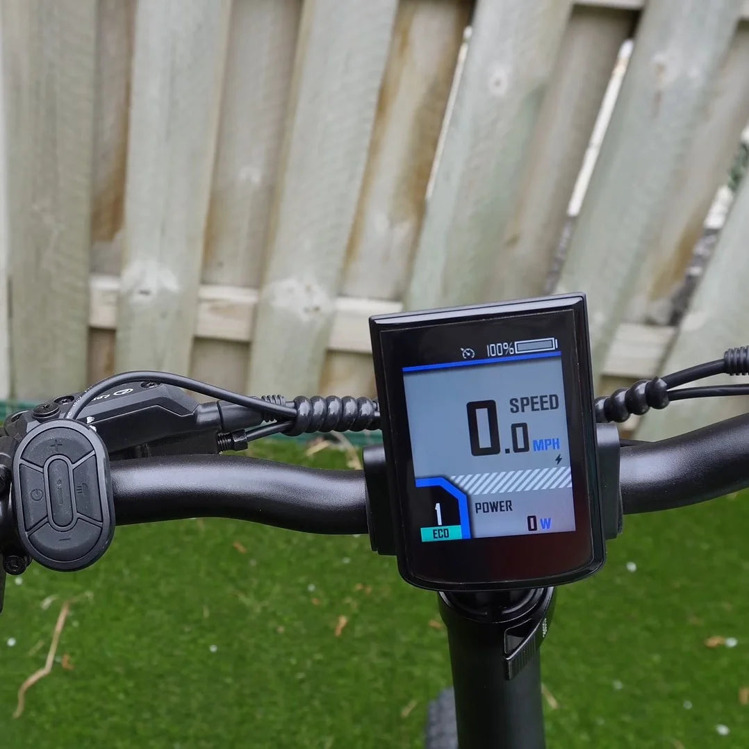750W 20" Fat Tire 8-Speed Folding Electric Bike Y981