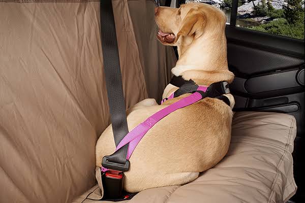 Pink Travel Safe Harness P422643