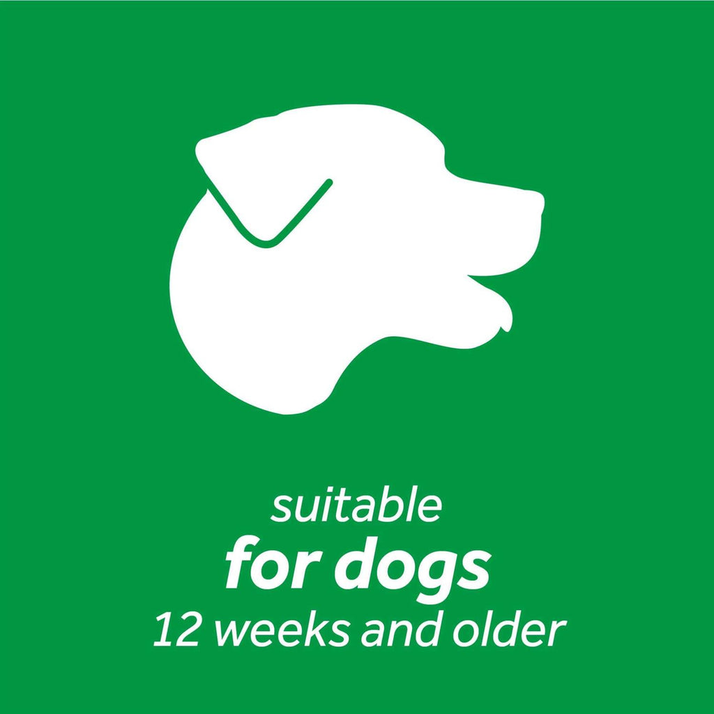 Dental Wipes for Dogs K965