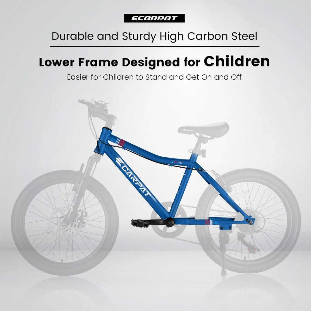 20 Inch Kids Mountain Bike I3794