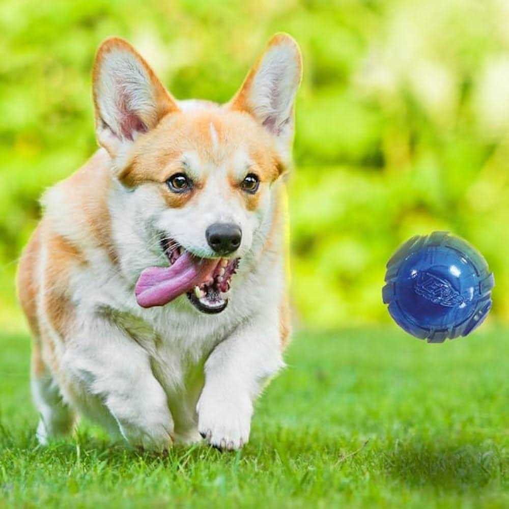 Blue Green LED Ball Dog Toys V7327