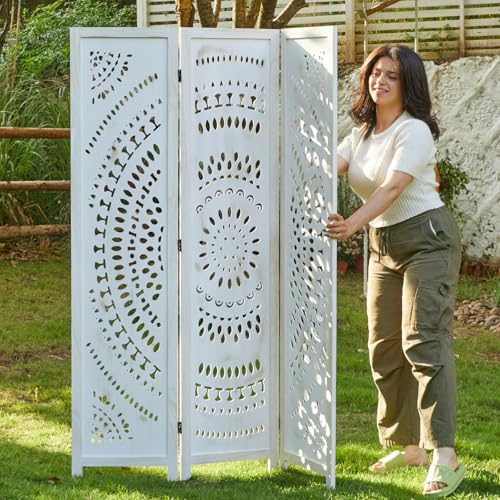 Wood Carved Folding Room Divider Screen 6 Panels F9122