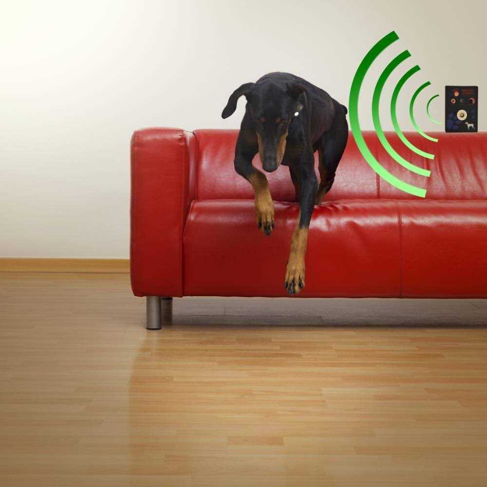 Waterproof Microsonic Collar R741687