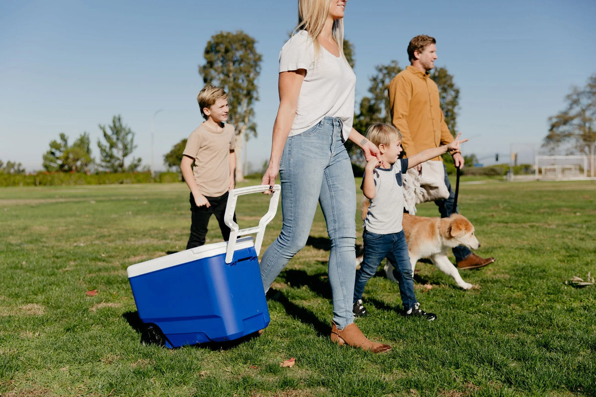 38 QT. Hard-Sided Ice Chest Cooler with Wheels, Blue I1878
