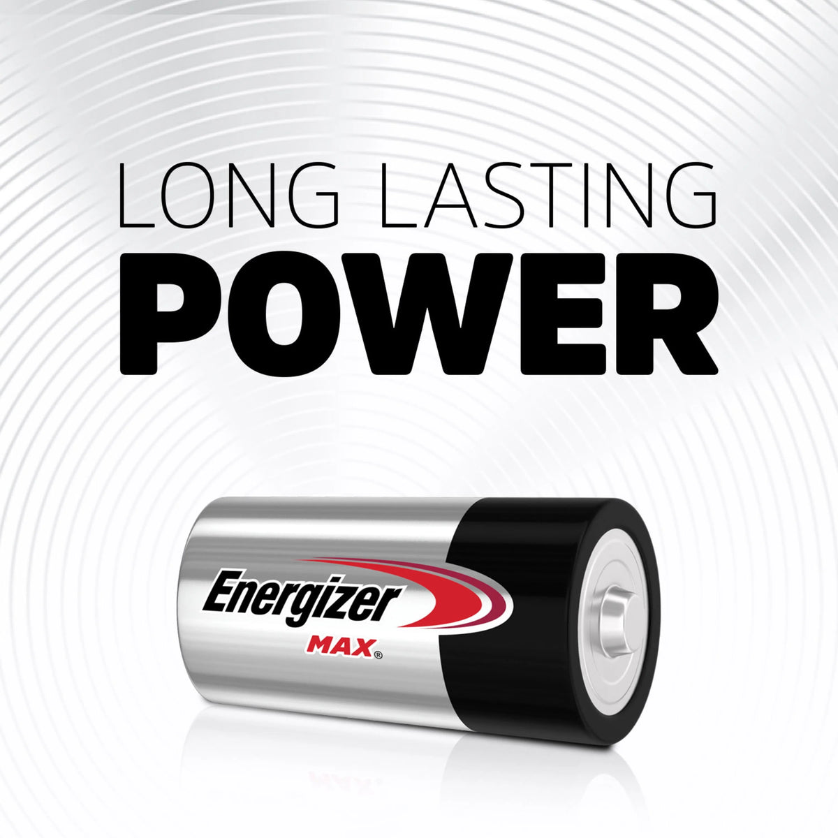 C Cell Alkaline Batteries 12 Pack T811