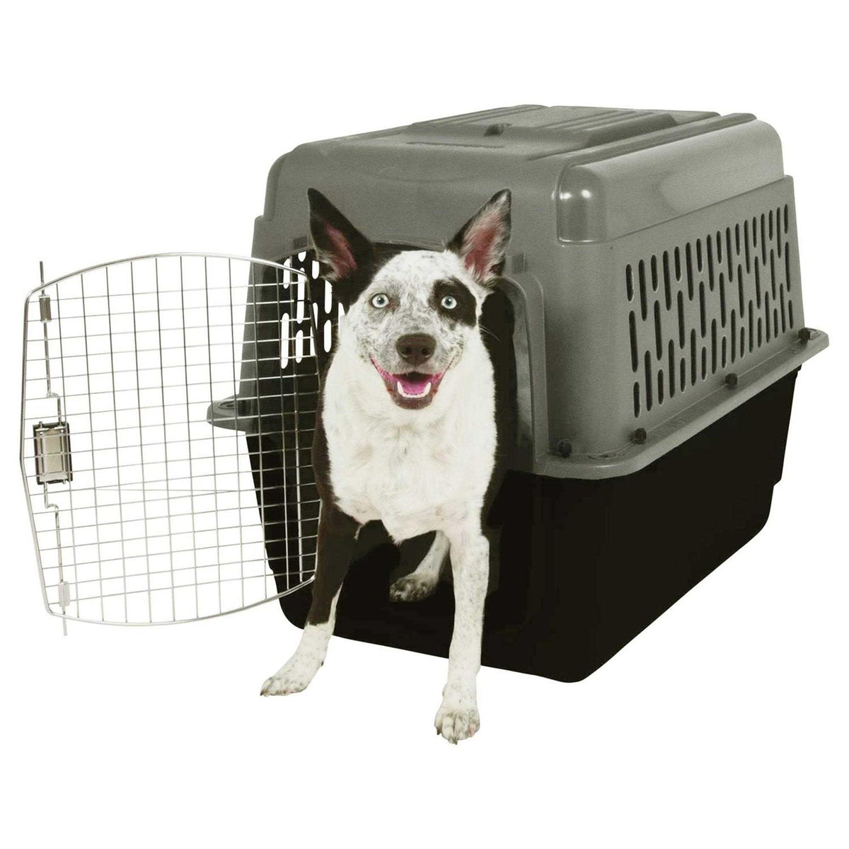 Pet Porter L934