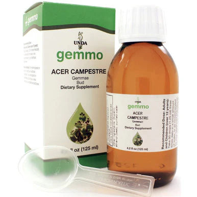 Acer campestre 125 ml S1388
