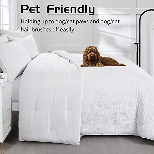 Oversized King White Seersucker Comforter 3 Piece Set J89987
