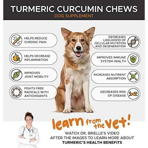 Dog Hip + Joint Health Turmeric Chews J3882