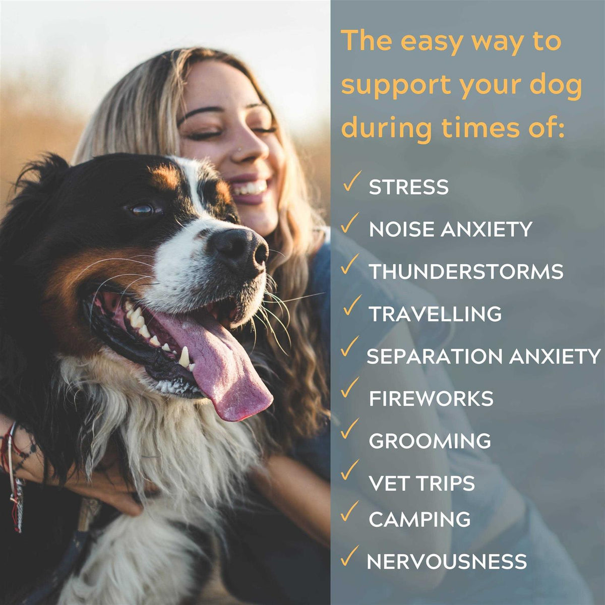 Calming Dog Chews S78813