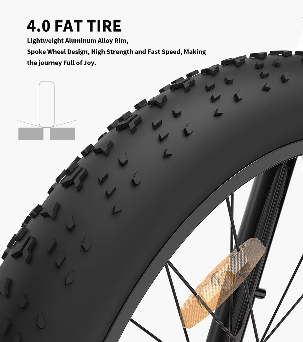 750W 48V 13AH Fat Tire Electric Mountain Bike D849784