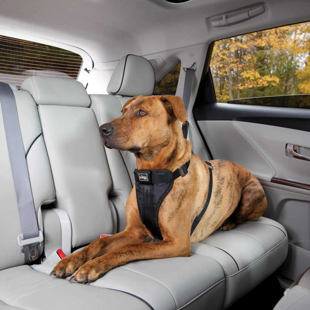Tru Fit Smart Harness M946155