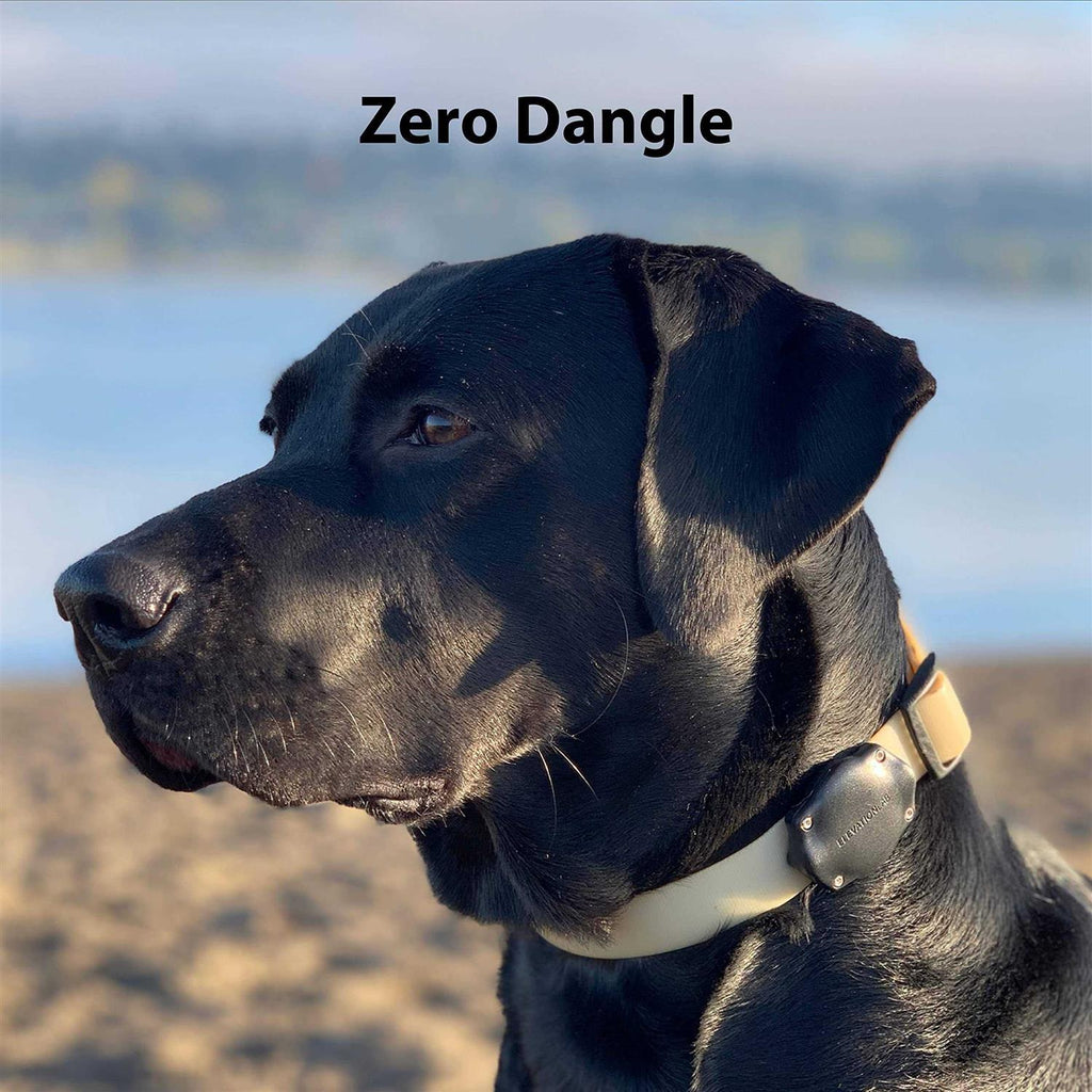 Waterproof AirTag Dog Collar Mount D9348
