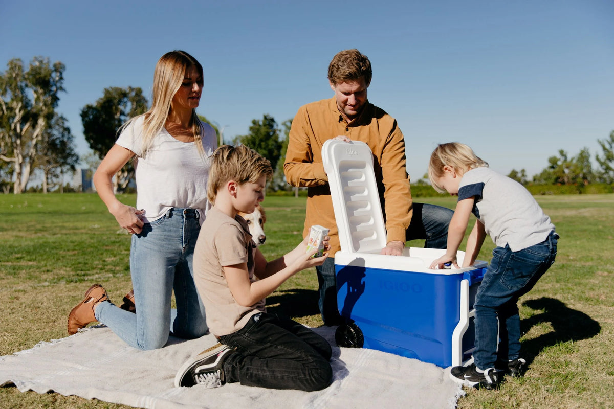 38 QT. Hard-Sided Ice Chest Cooler with Wheels, Blue I1878