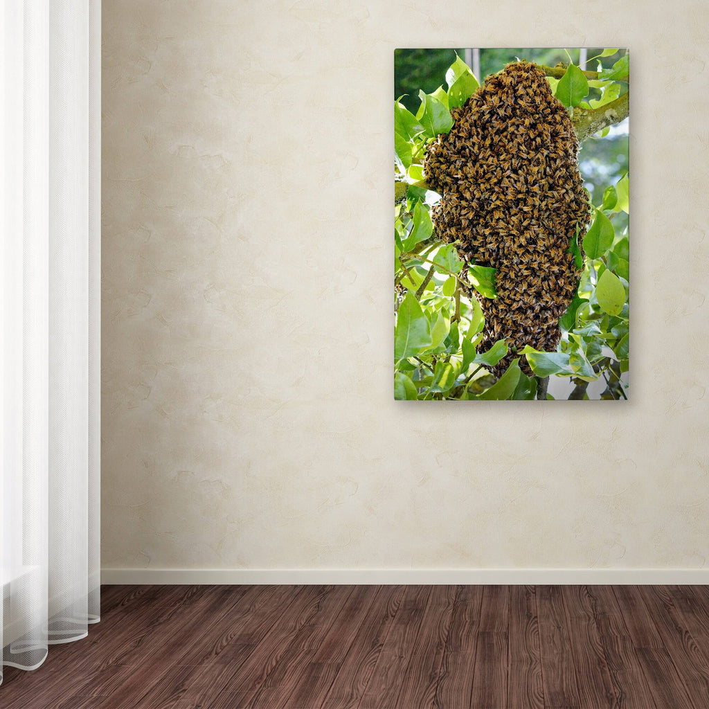 Swarm of Bees Canvas Art M372592