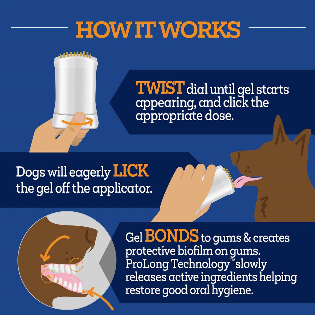 Brush Free Oral Gel for Dogs X936858