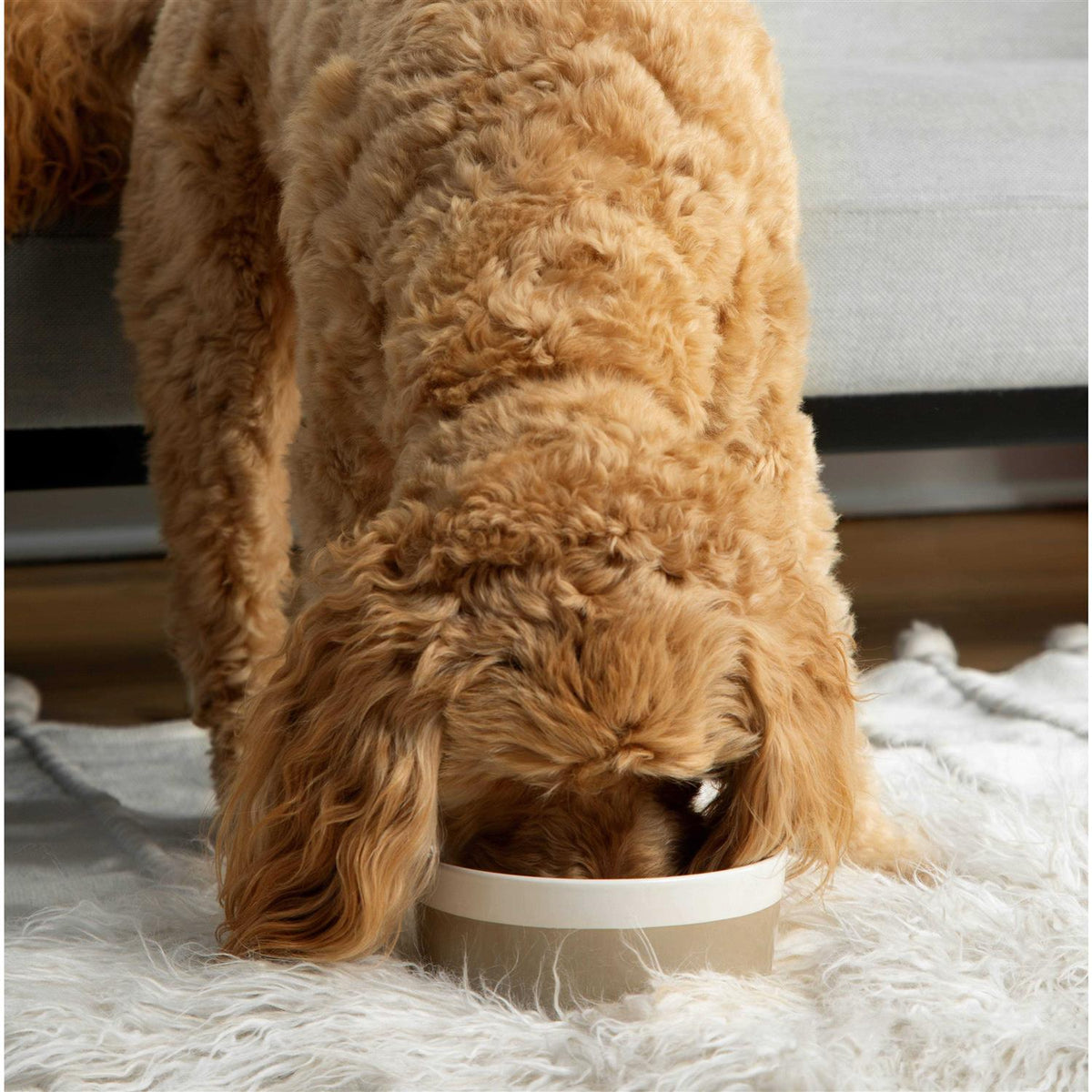 Ceramic Dog Bowl P8197