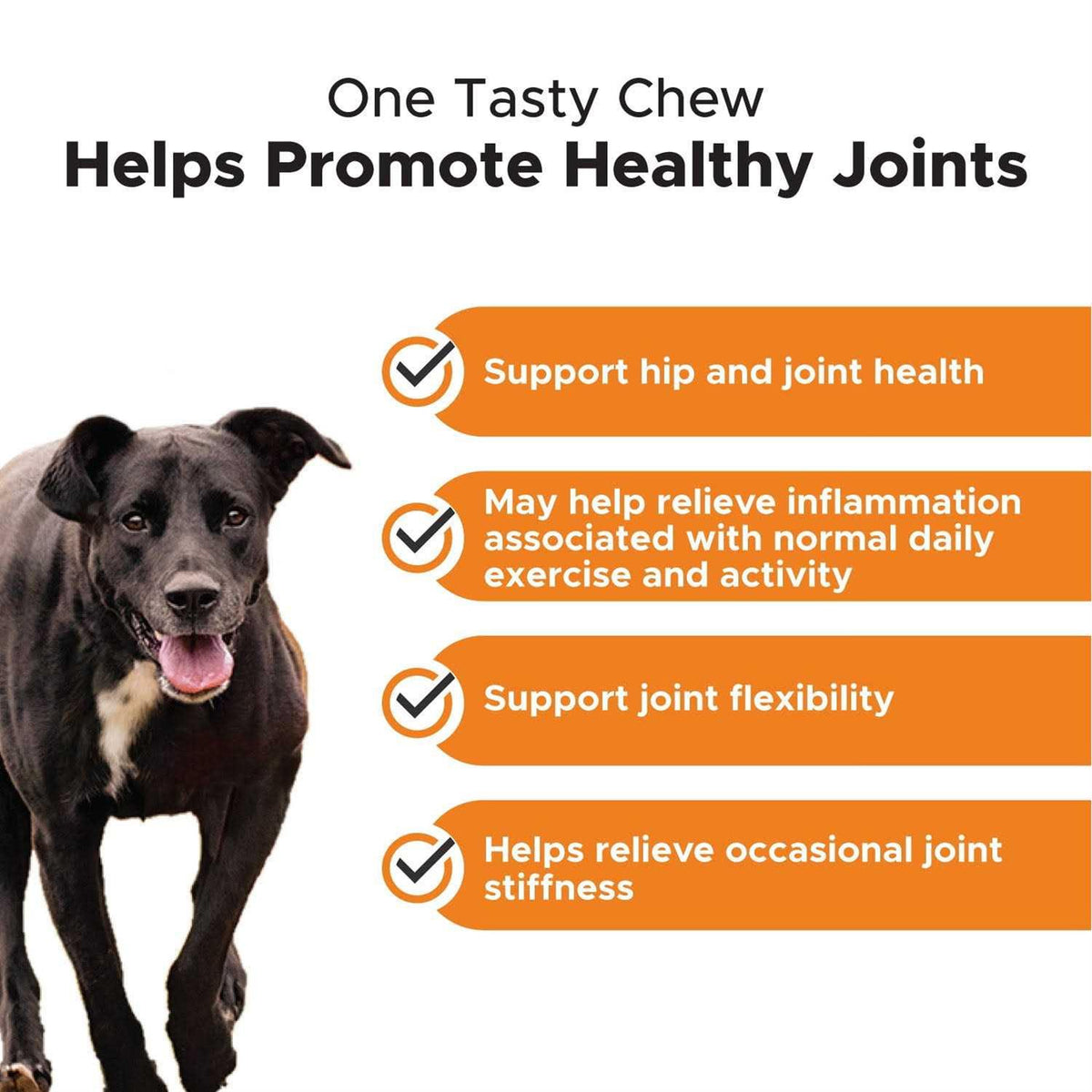 Dog Hip + Joint Health Turmeric Chews J3882