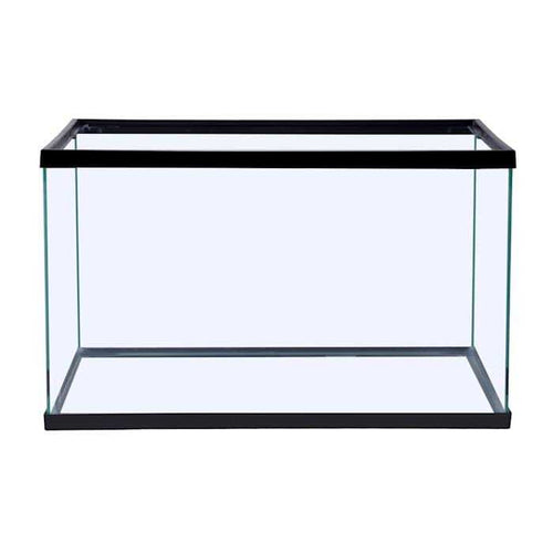 10 Gallons Glass Aquarium F1351