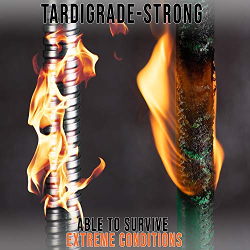 50 FT Stainless Steel Metal Garden Hose G195