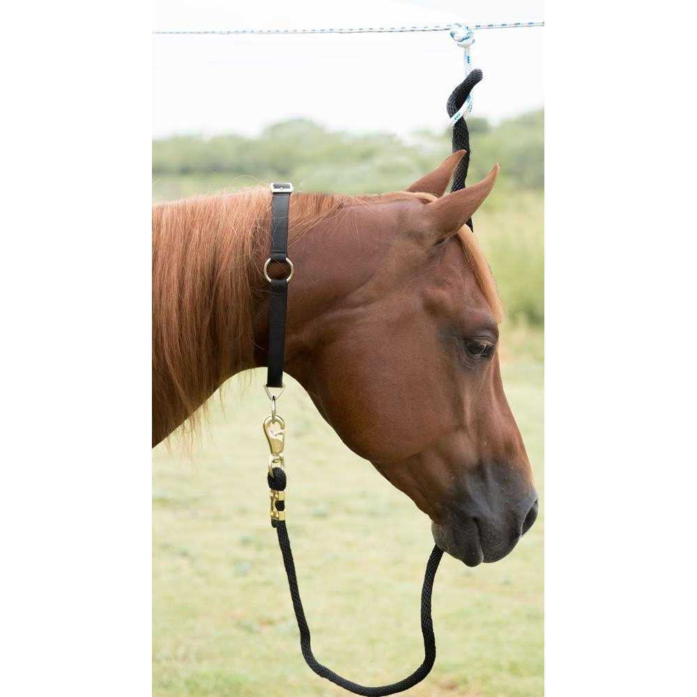 Neck Collar M31331