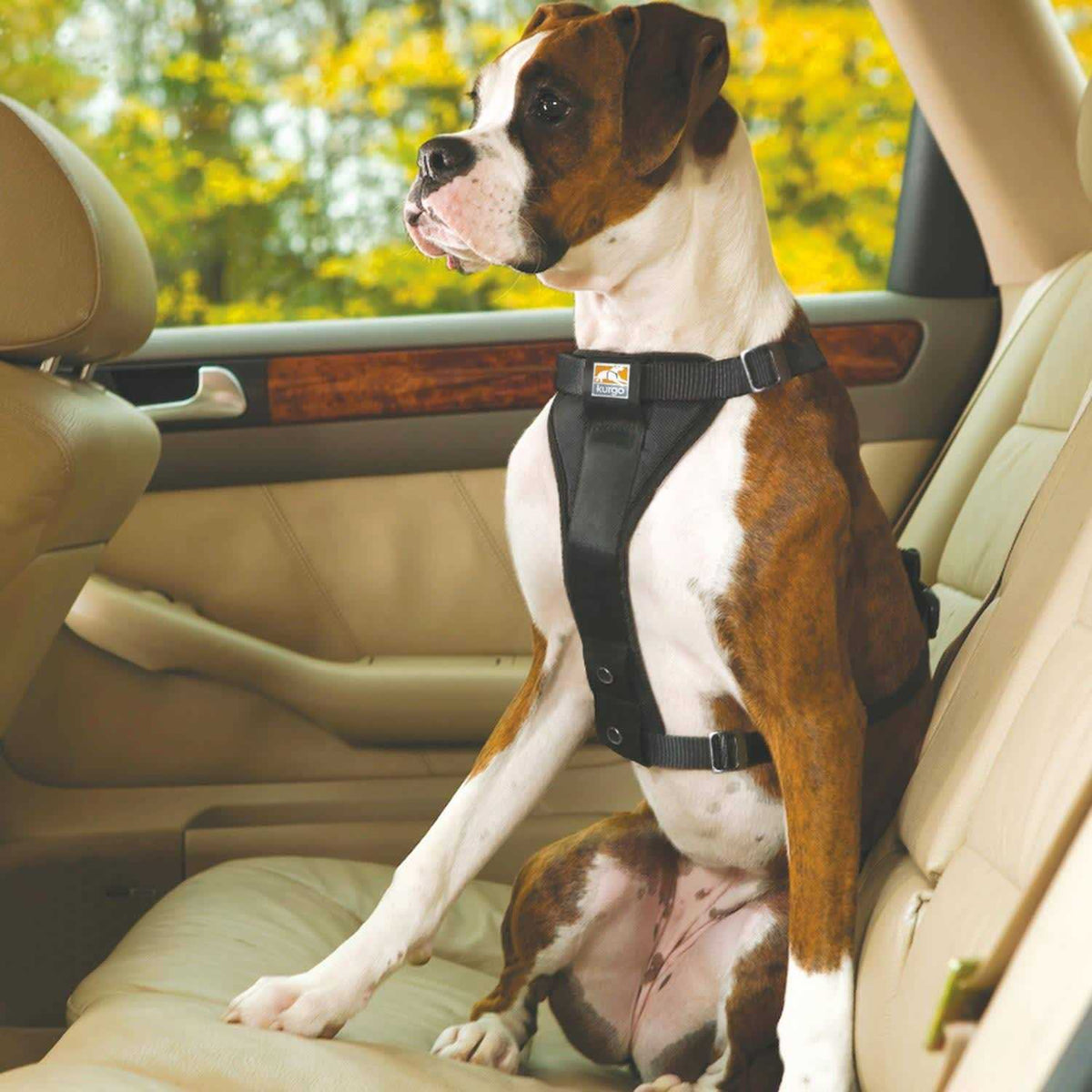 Tru Fit Smart Harness M946155