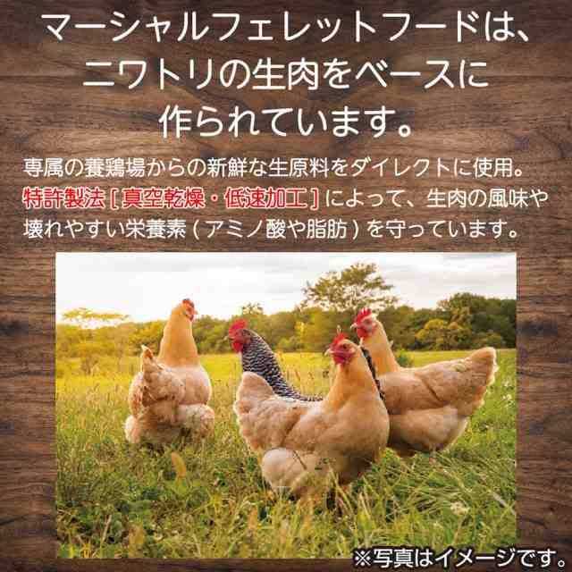 Premium Diet J150