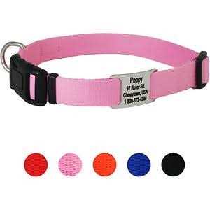 Adjustable Personalized Dog Collar G485