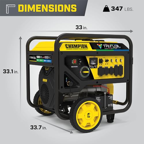 5000-Watt Electric Start Tri Fuel Portable Generator O316