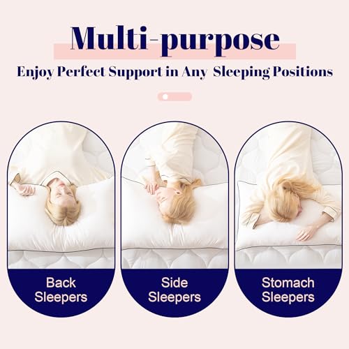 King Size 2 Pack Goose Feather and Down Bed Pillow, 20x36 Inches W62078